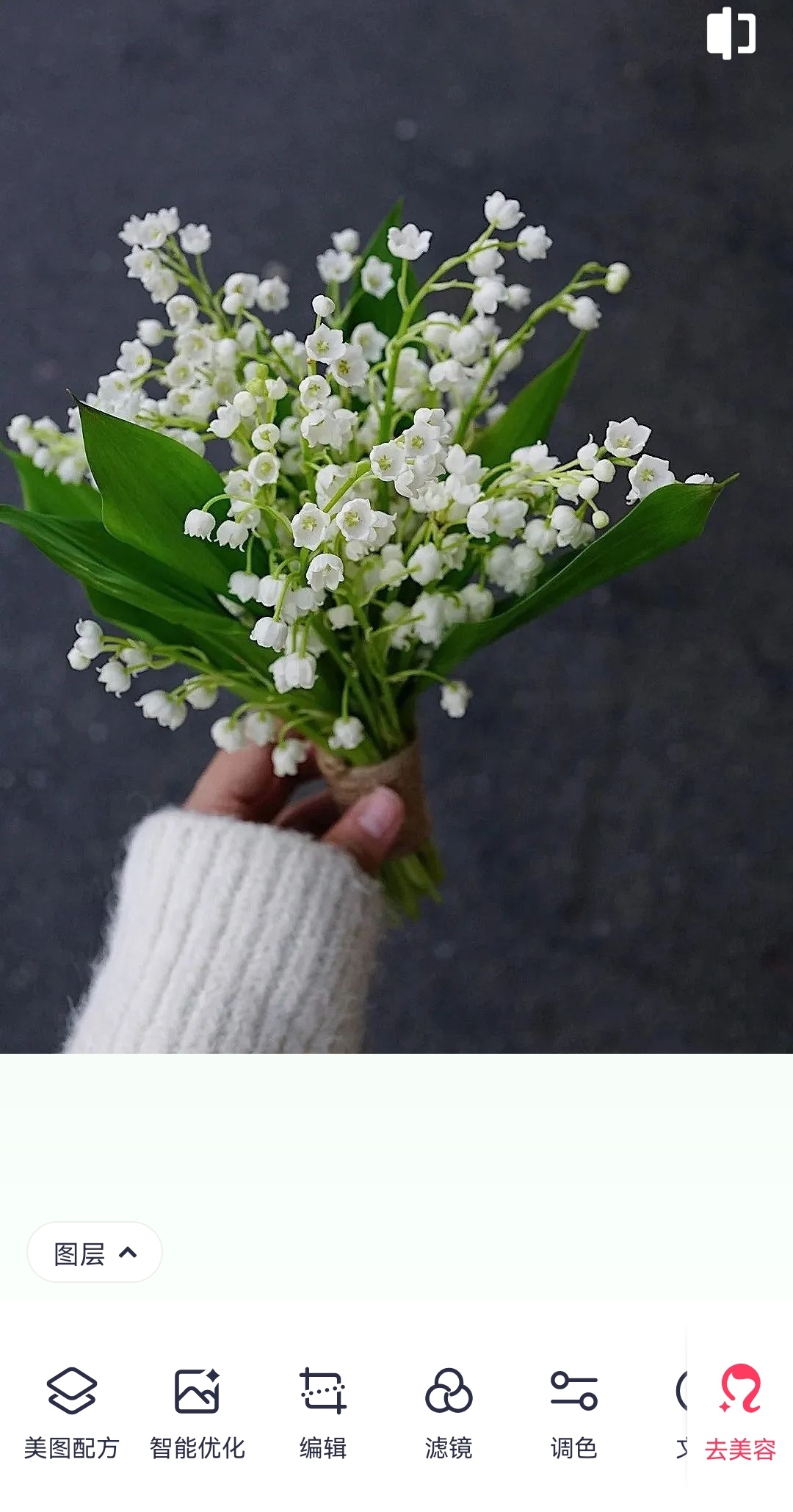 花艺推荐app,马克花艺学习小课堂