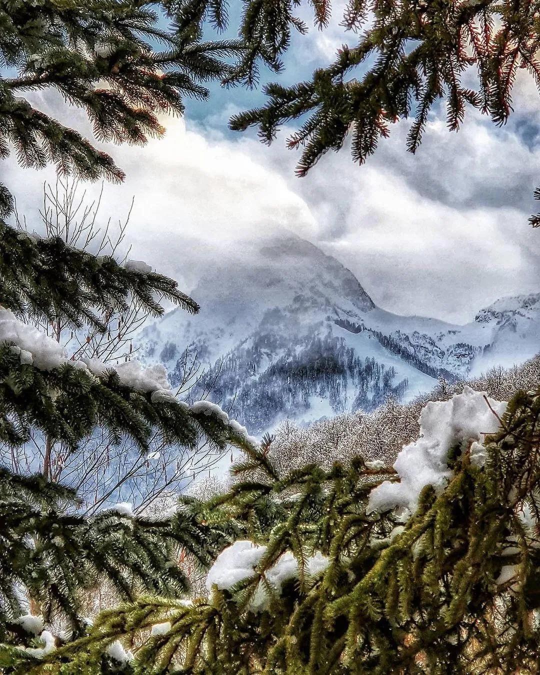 抢不到冰墩墩是什么梗,冬奥会冰墩墩2022