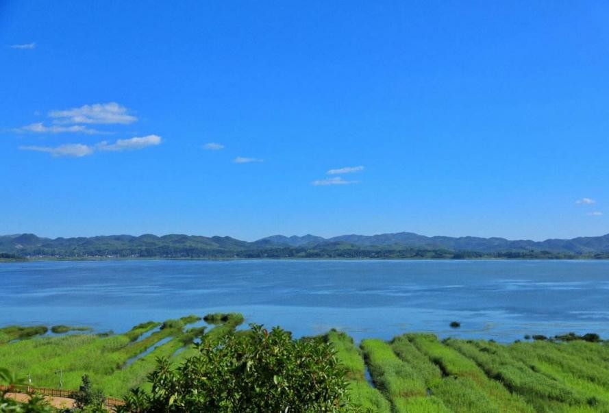 威宁草海观鸟摄影攻略,三大高原湖泊草海