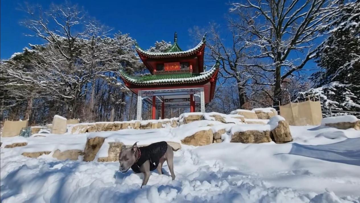 外国小姐姐爱上中国人,喜欢中国的美国小姐姐