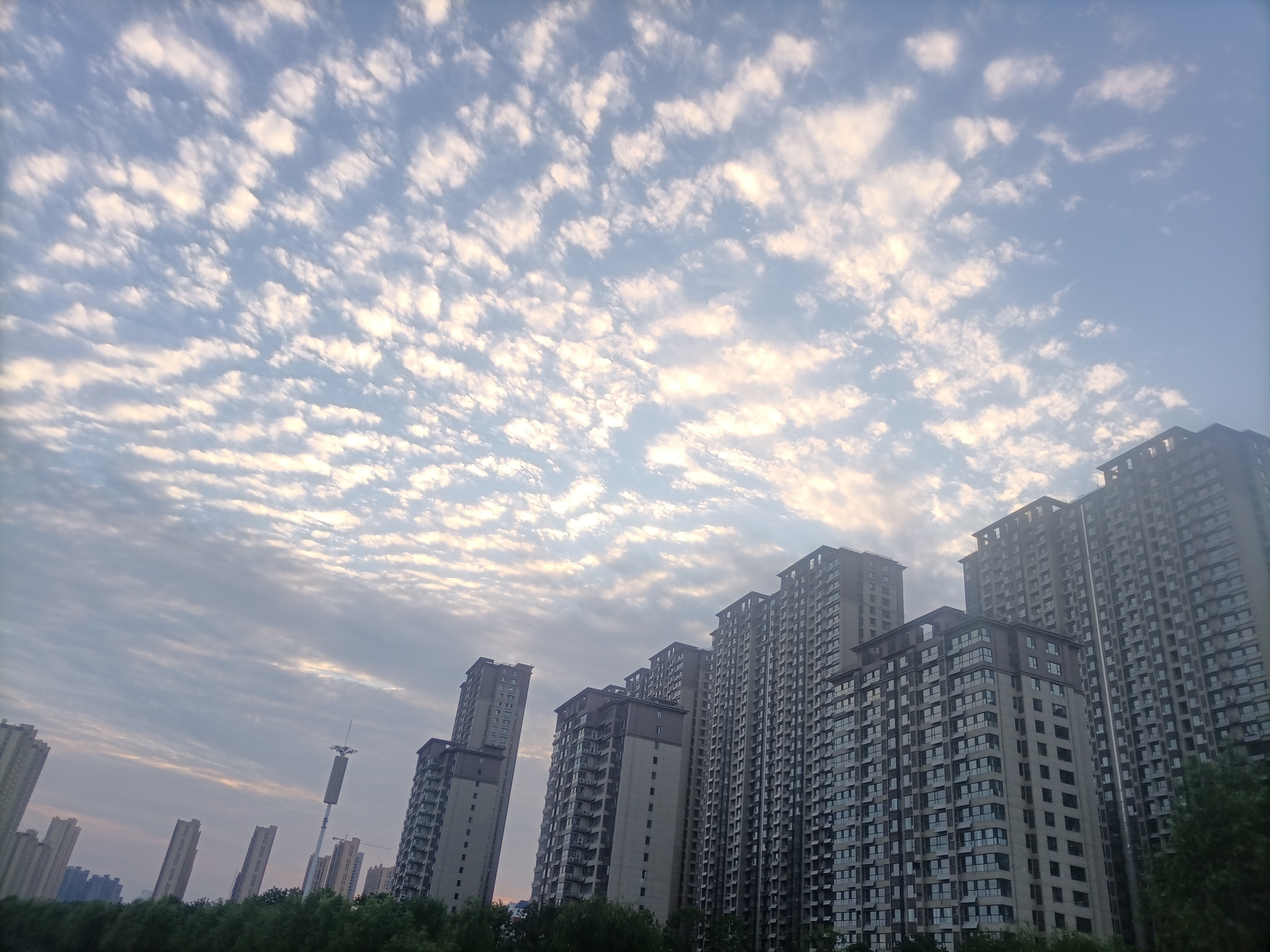 菏泽：你知道“天空鲤鱼斑，明天晒谷不用翻”的意思吗？