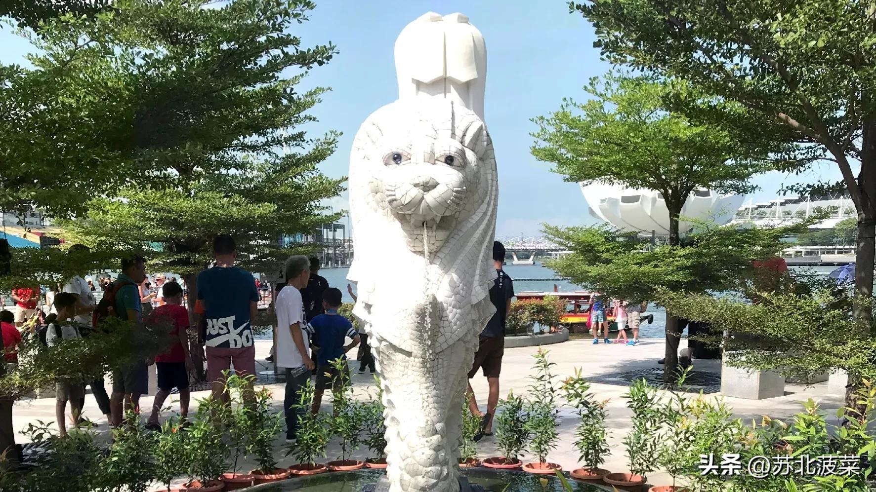 去新加坡打工需要具备什么条件,掌握哪些技能去新加坡务工