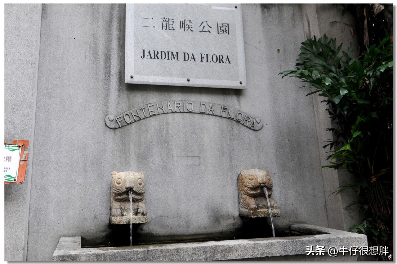 冬天澳门亲子遛娃,去澳门带着小孩逛哪里好玩