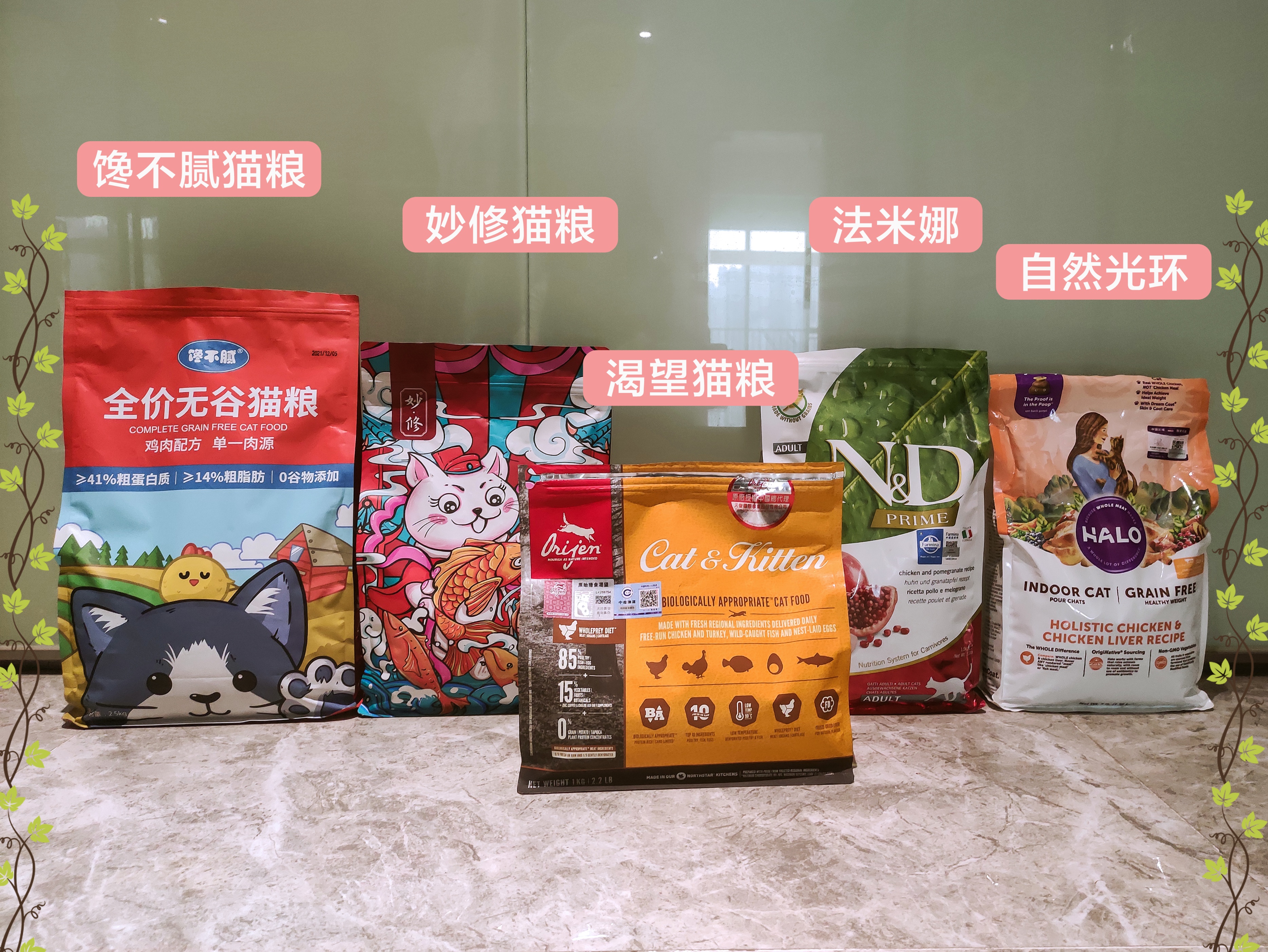 什么样的猫是旺家喵,旺家猫的长相和特征