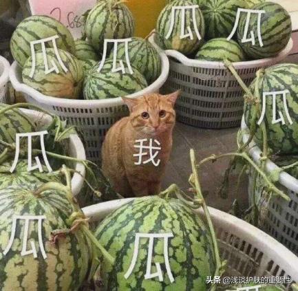 佰花方有效淡斑护肤品推荐,哪些护肤品品类好用又实惠呀