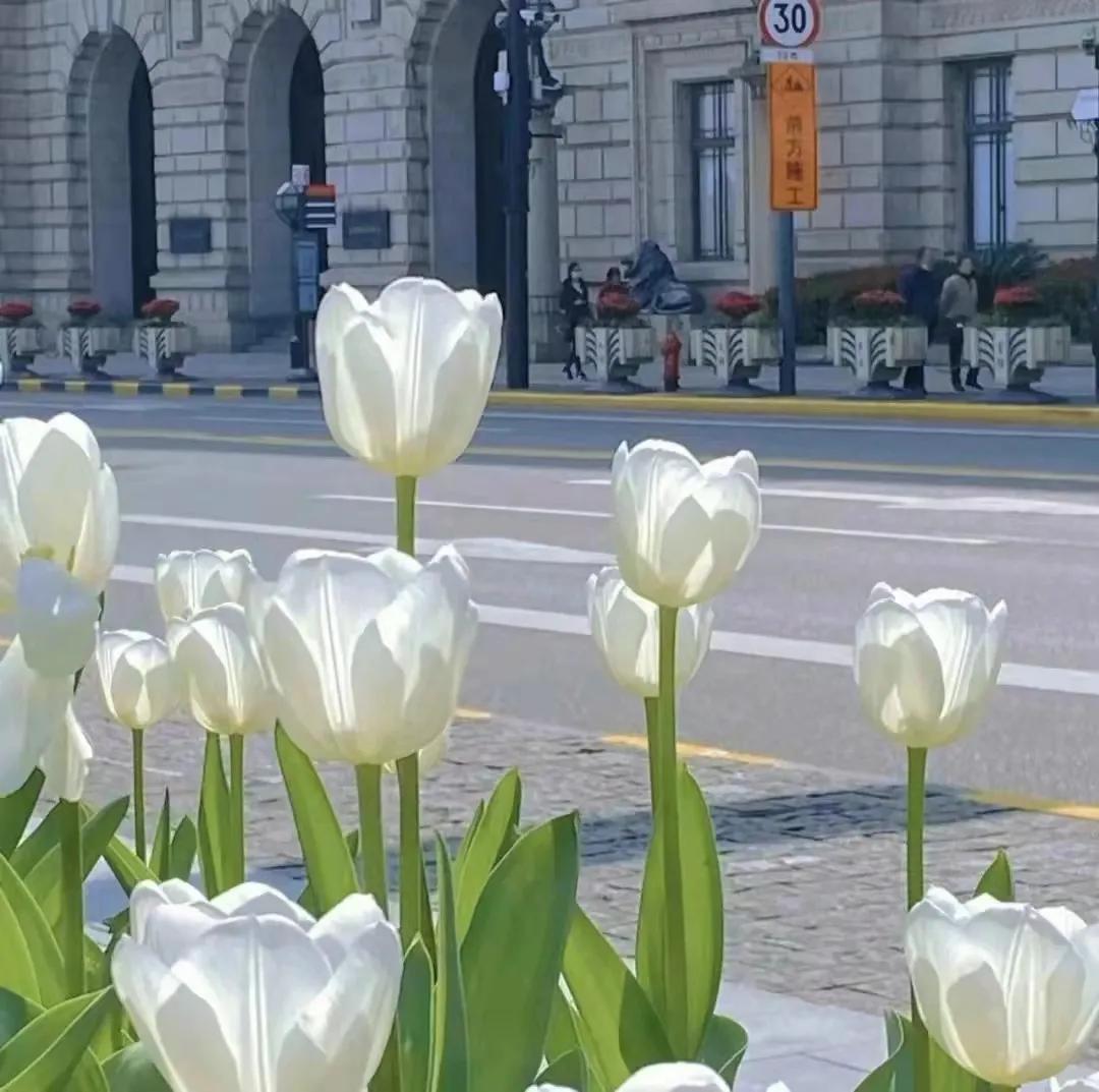 母亲节做活动文案,35句母亲节文案