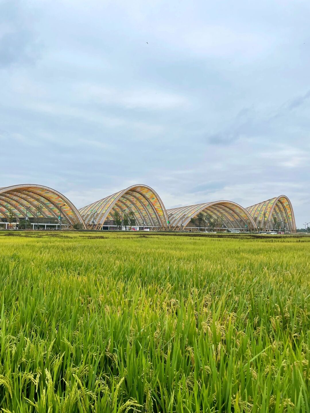 放假去哪里玩又便宜又好玩成都,假期去哪玩便宜又好玩儿成都