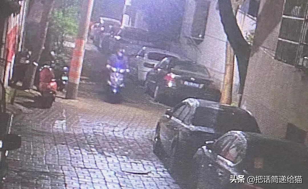 江苏偷猫事件,偷猫人被抓新闻