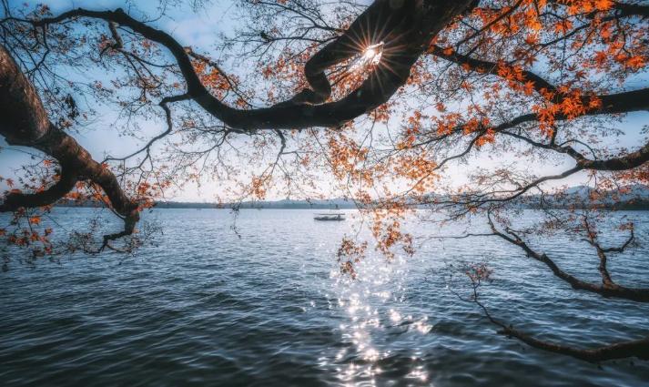 西湖的秋景诗句,西湖的秋天是美丽的