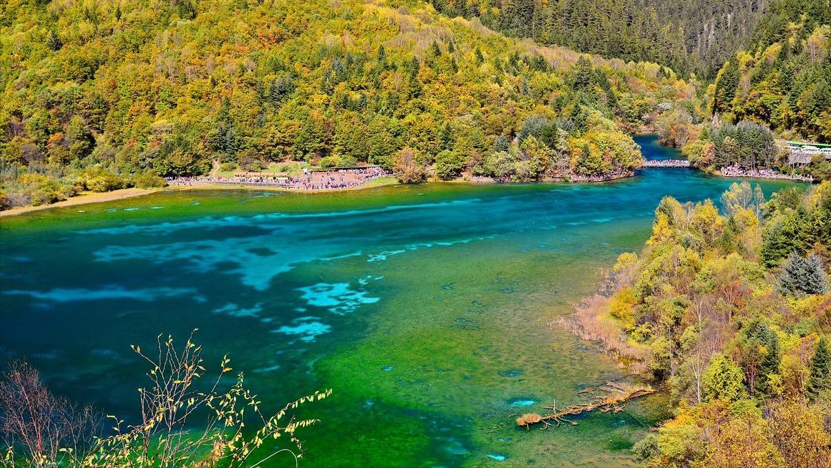 四川九寨沟游玩攻略自由行方案,四川九寨沟玩4天旅游攻略