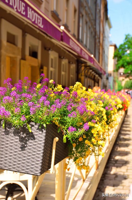 lv集团为什么被罚款,lv集团被查