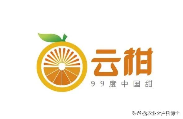 沃柑品牌策划核心竞争力如何提高,沃柑品牌推荐