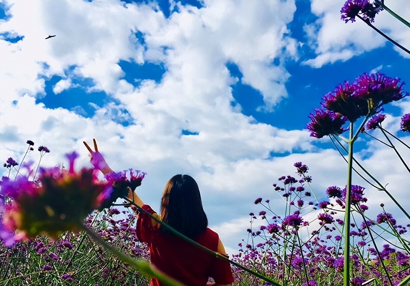 云南旅游攻略云南民族村一日游,云南旅游攻略云南气温