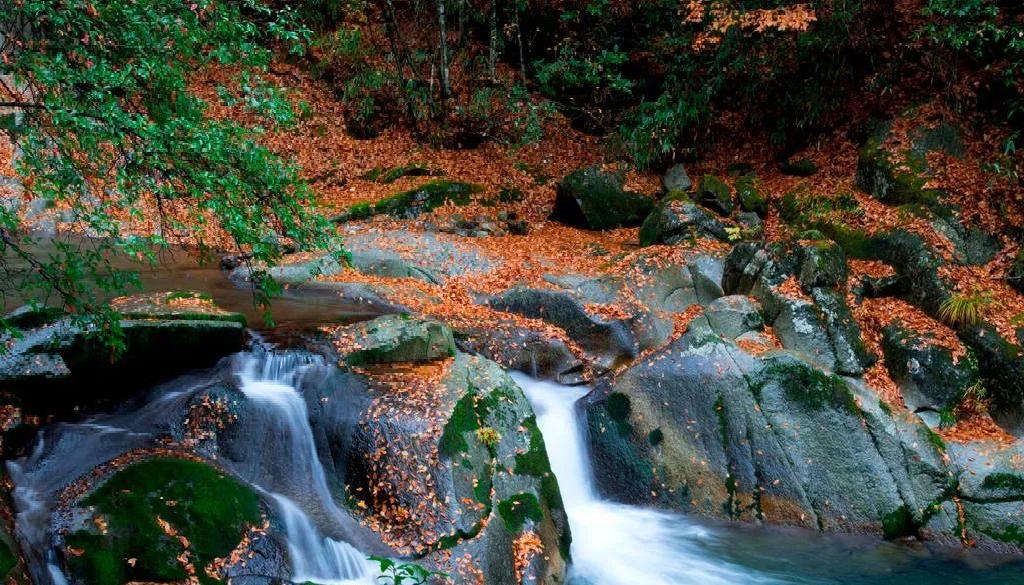 四川光雾山风景视频,光雾山旅游景区
