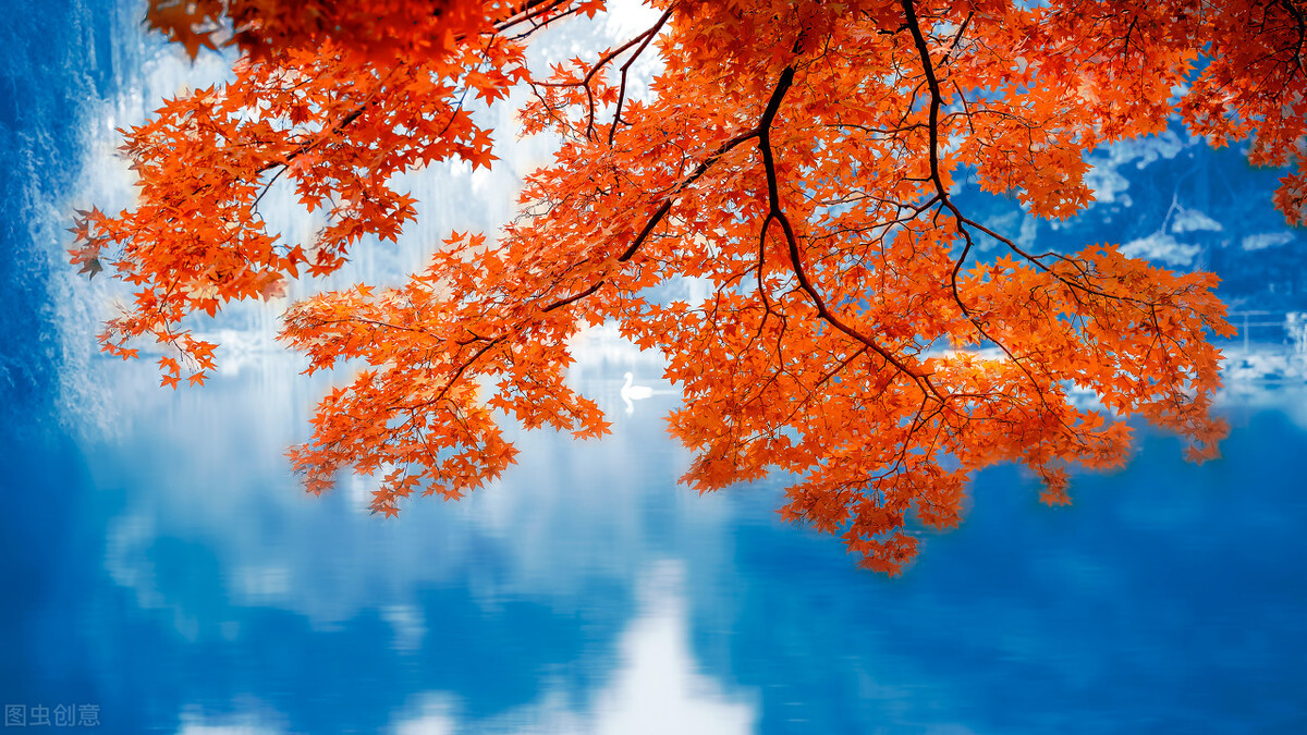 经典励志小故事，小故事蕴涵大道理，让你受益匪浅