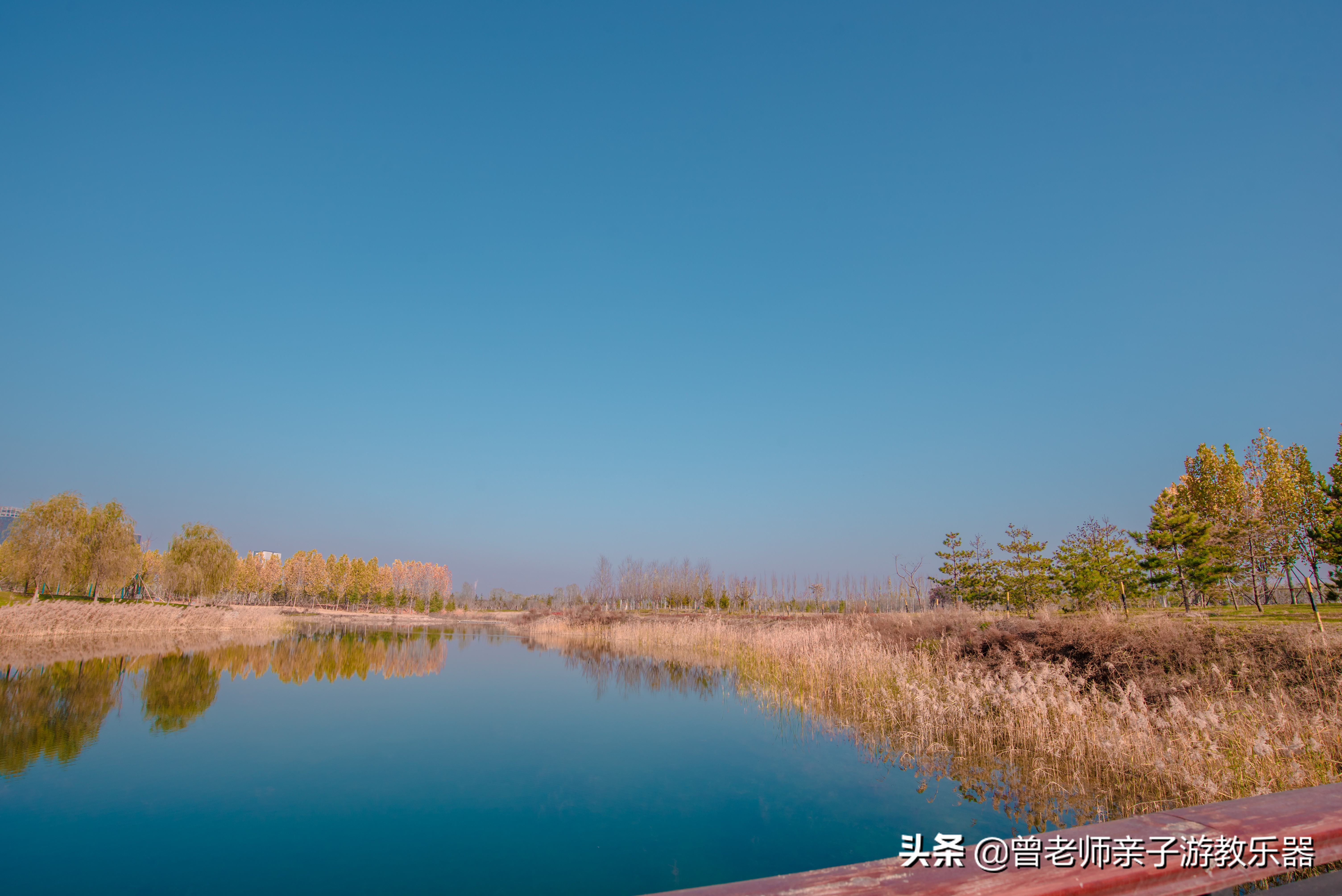 秦汉渭河湿地公园儿童,渭河湿地公园儿童乐园