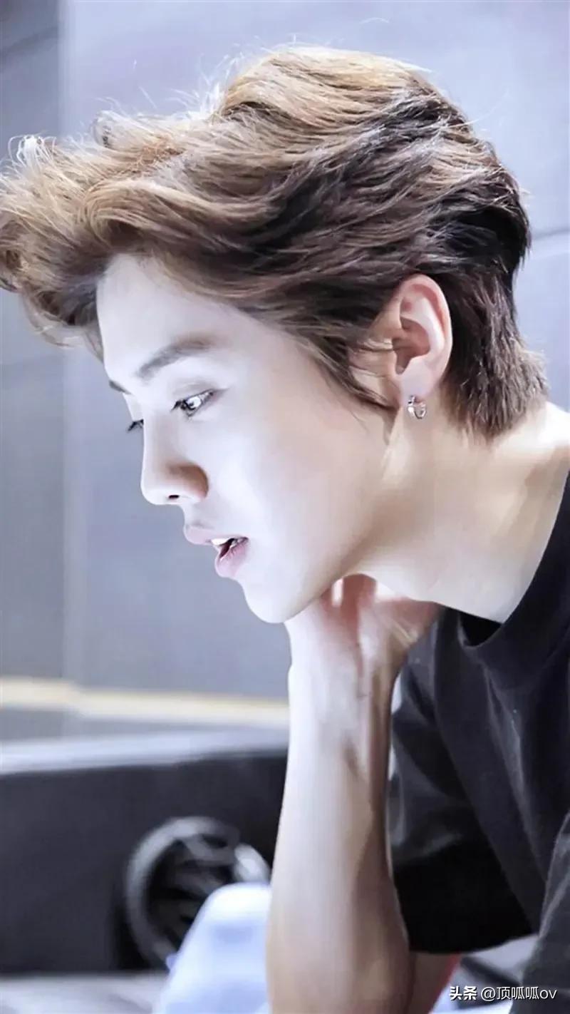 被国家点名表扬的10位明星,被央视点名表扬最多的明星