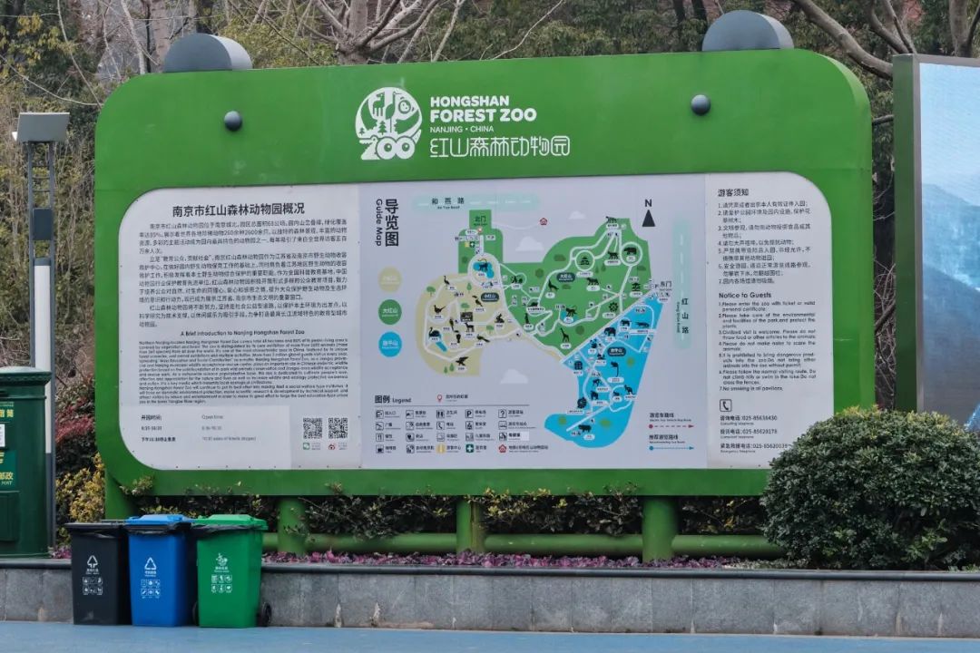 红山动物园亏损3千万网友很着急,近两年疫情原因导致亏损如何翻身