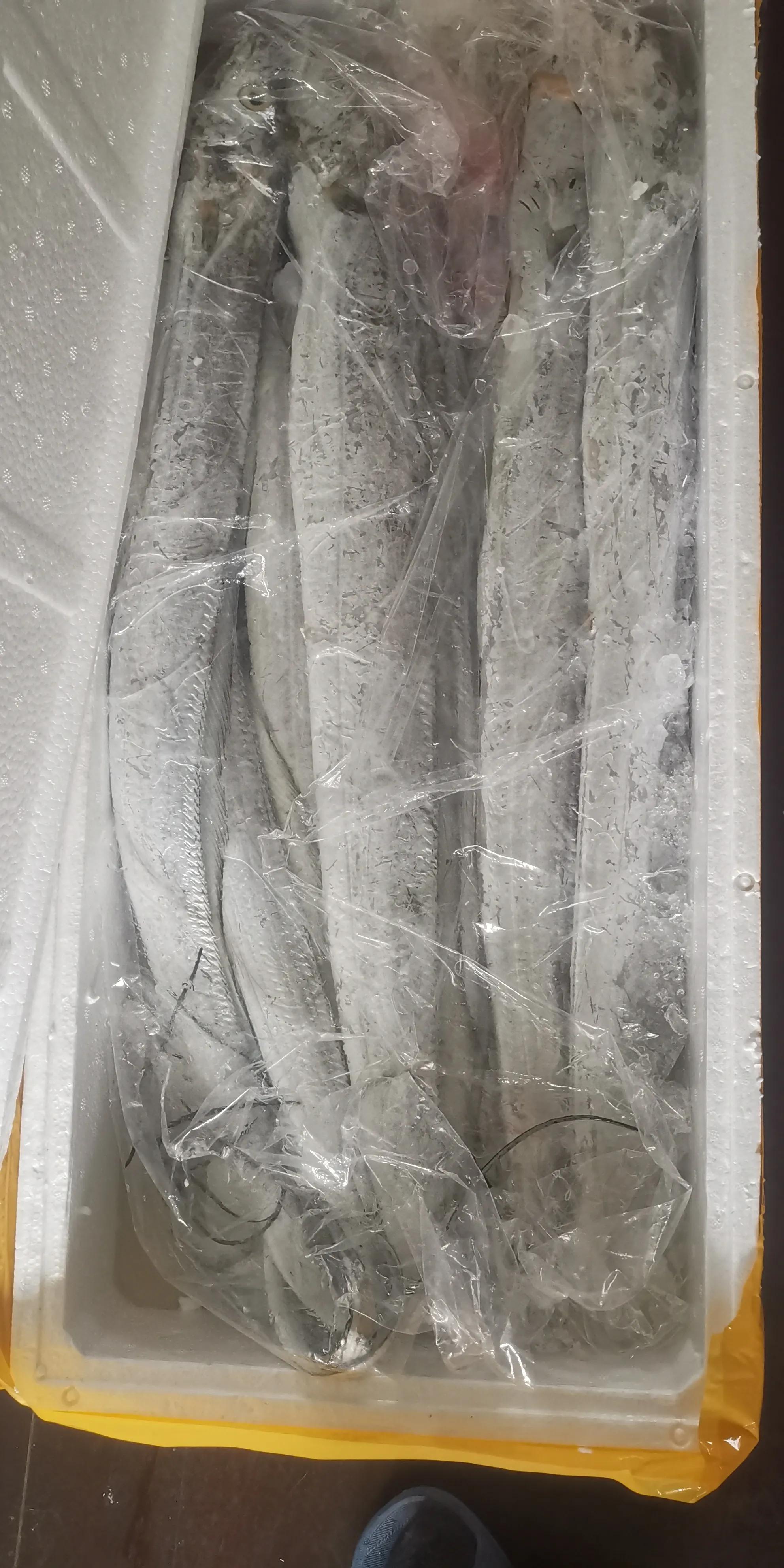 上海军工路东方国际海鲜市场,上海江杨路海鲜批发市场