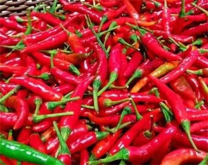 辣椒多了吃不完怎么办,夏季辣椒吃不完的储存方法