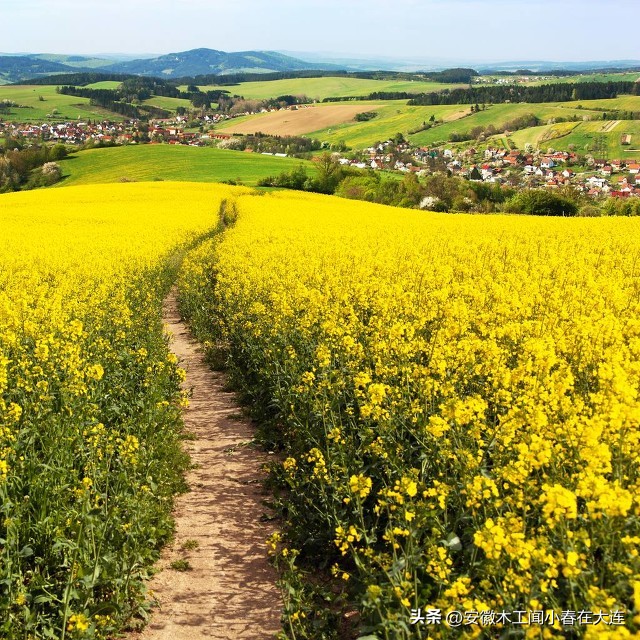 陌上花开可缓缓归矣能表达爱情吗,陌上花开可缓缓归矣表达什么