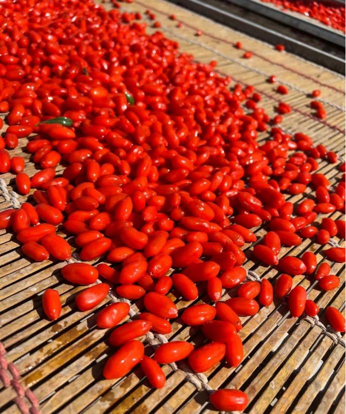 中宁枸杞哪个品牌最好,宁夏中宁枸杞十大品牌排名