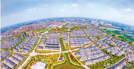 平湖市新仓镇组织共建、资源共享、发展共赢的共富之路