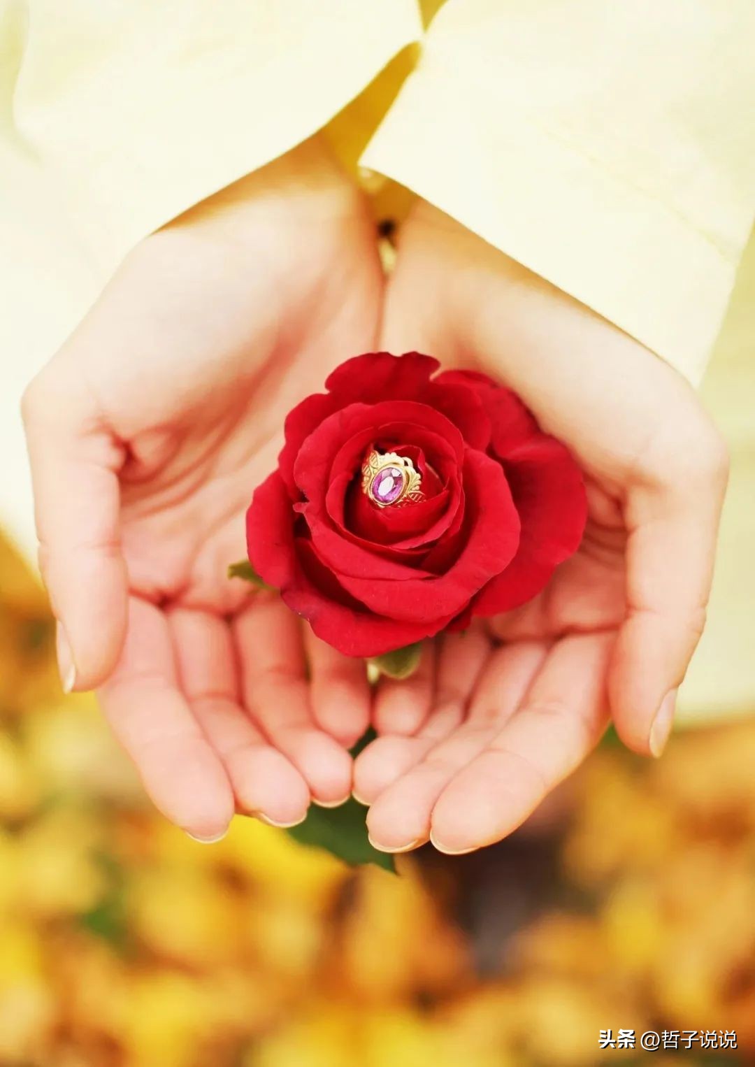 好心好意给别人办事却被人怀疑,热心帮助别人反倒被人埋怨