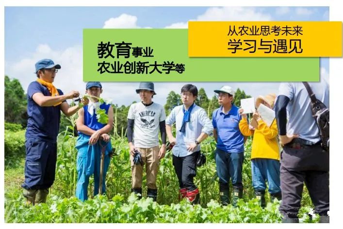 1.5亩地收入却高达19万，这个“共享农场”如何做到的？