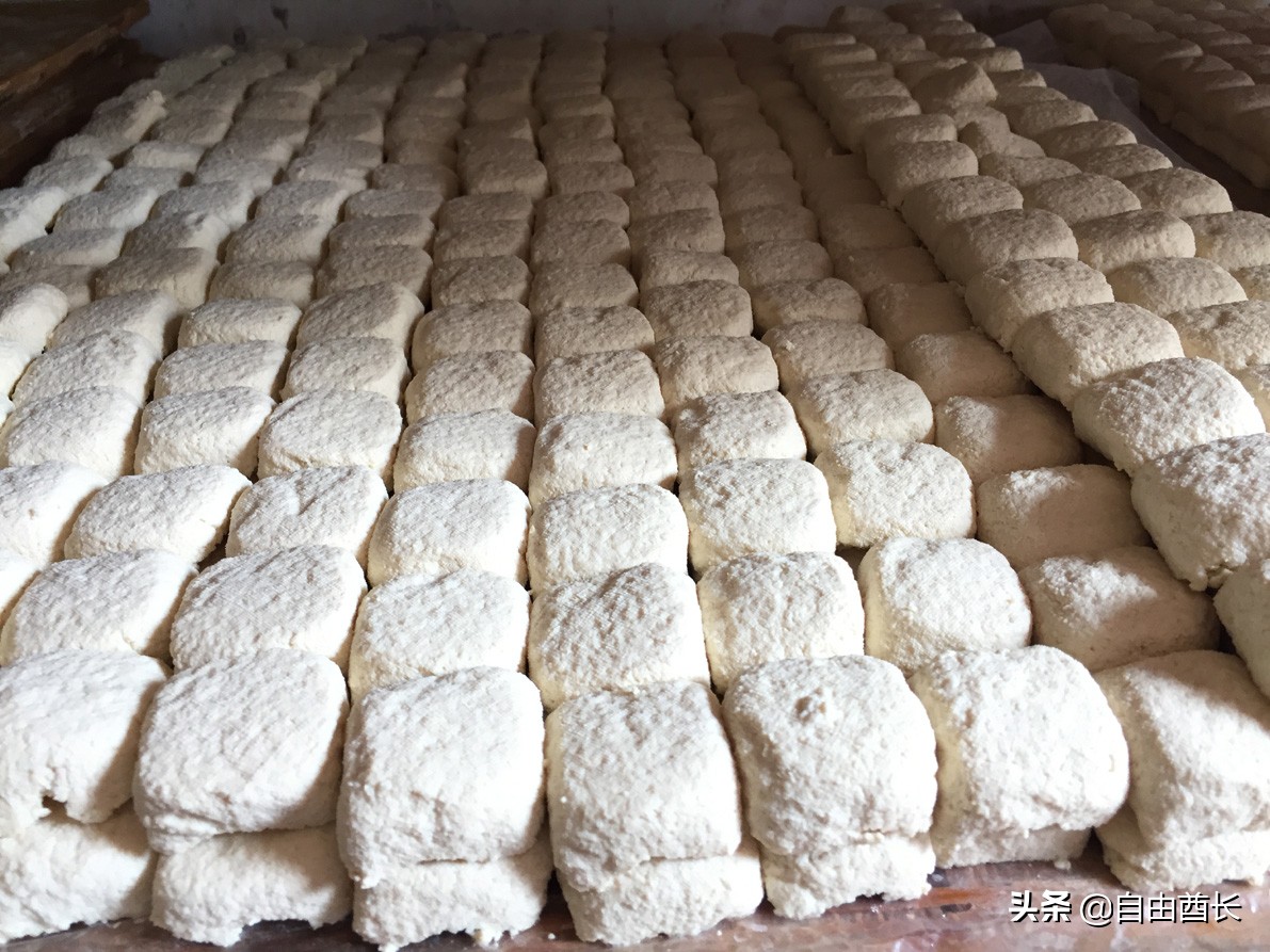 远去的驮铃声（十）抚仙湖畔的约定