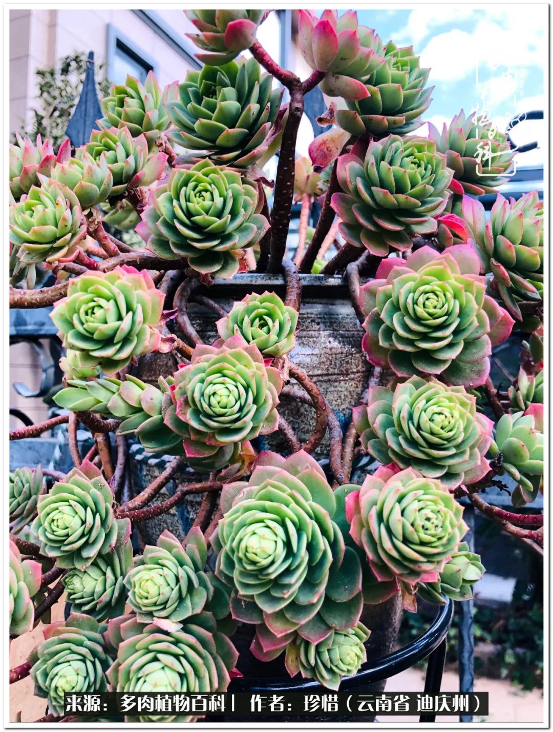 给生命一份淡然还岁月一份从容,给生命留一份洒脱的话