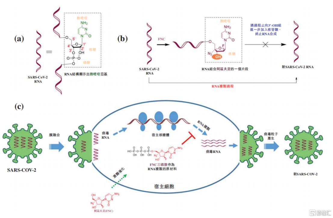 口服国产新冠药最新消息,口服新冠药研发国产第一