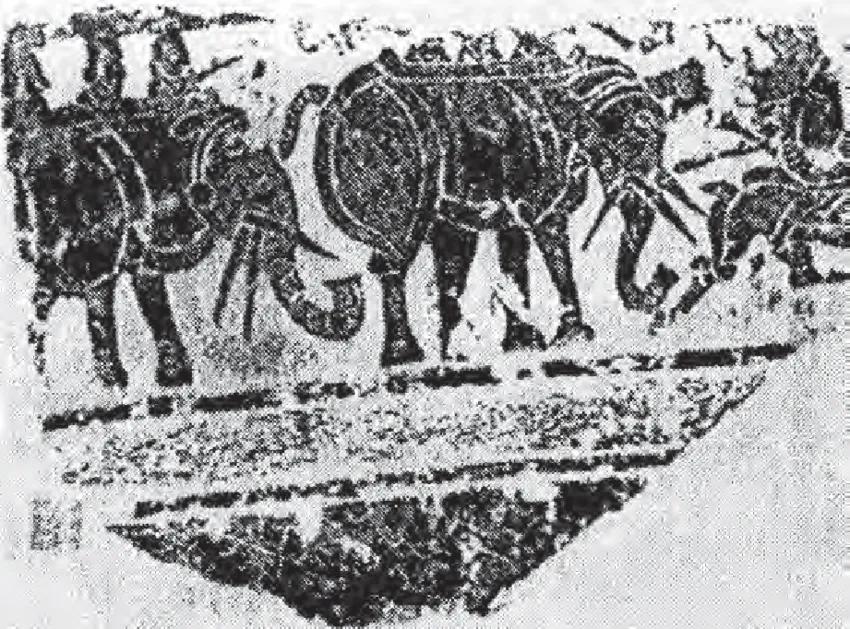 佛教典故//白象入肋，步步生莲，佛陀降世