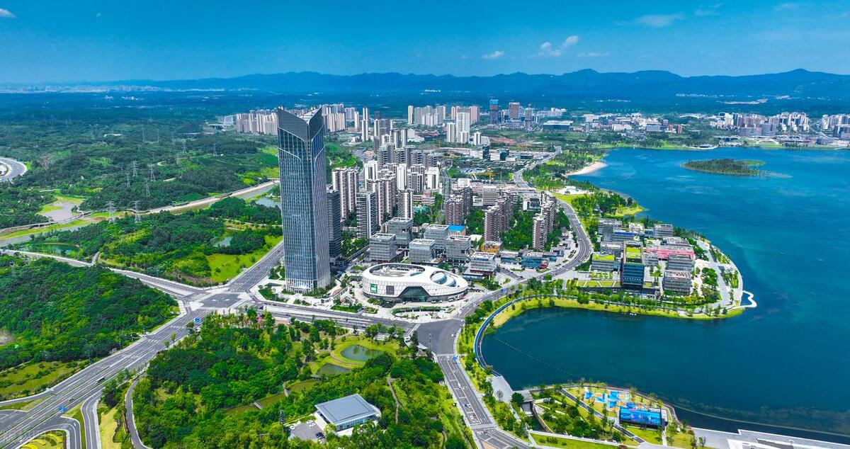 成都企业100强企业2019年,成都市工业企业100强