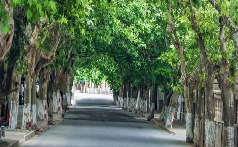 南京遛娃免费景点有哪些,南京免费景点一日游攻略