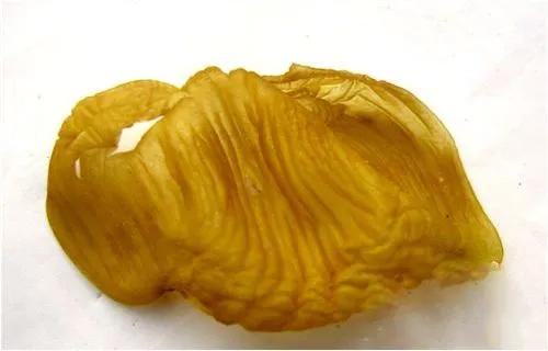 鸡内金配什么中药,鸡内金的中药别名