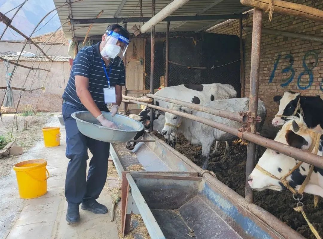 疫情防控坚守在一线,疫情防控党员值守