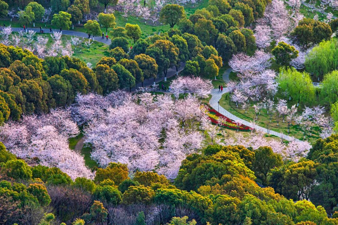 今日开通高铁,快上车流程