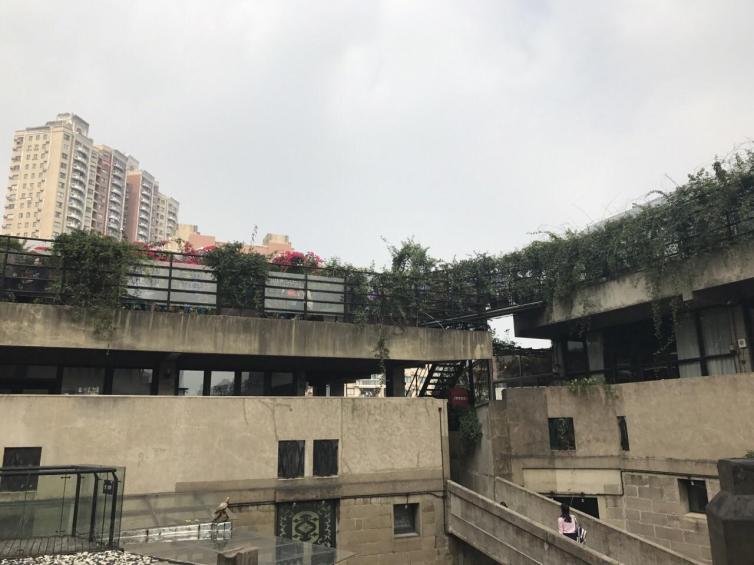 上海市内自驾游一小时哪里好,上海自驾游攻略线路推荐