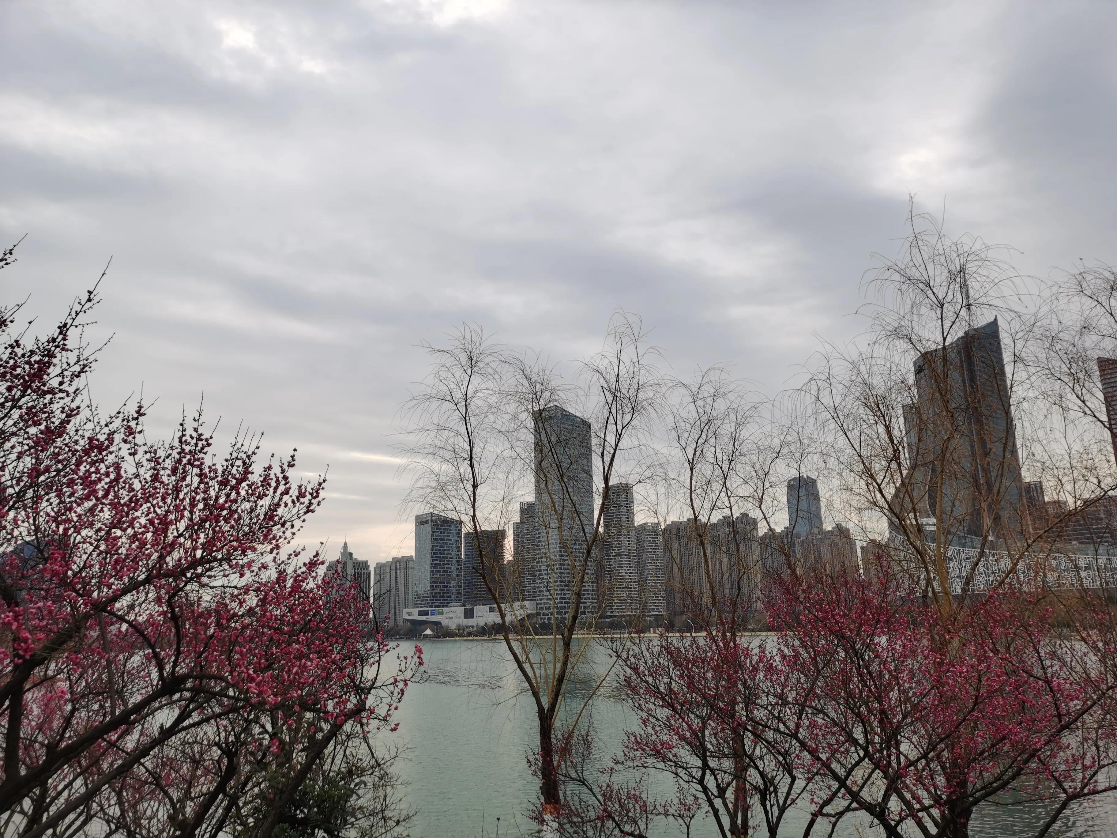 跑步带给我的收获,我的跑步