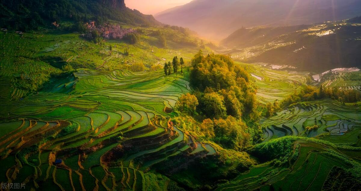 苏珊米勒2023年12月各星座运势,2023年最后一周星座运势