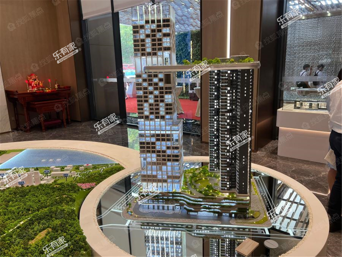 伴山特价房49万,深圳伴山伴海二手房