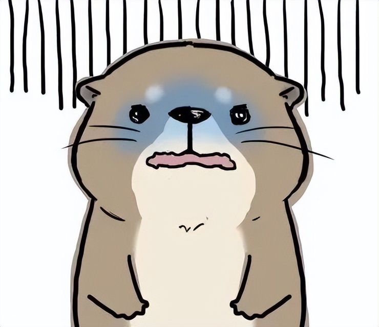 为电信诈骗引流的人,电信网络诈骗引流犯罪团伙