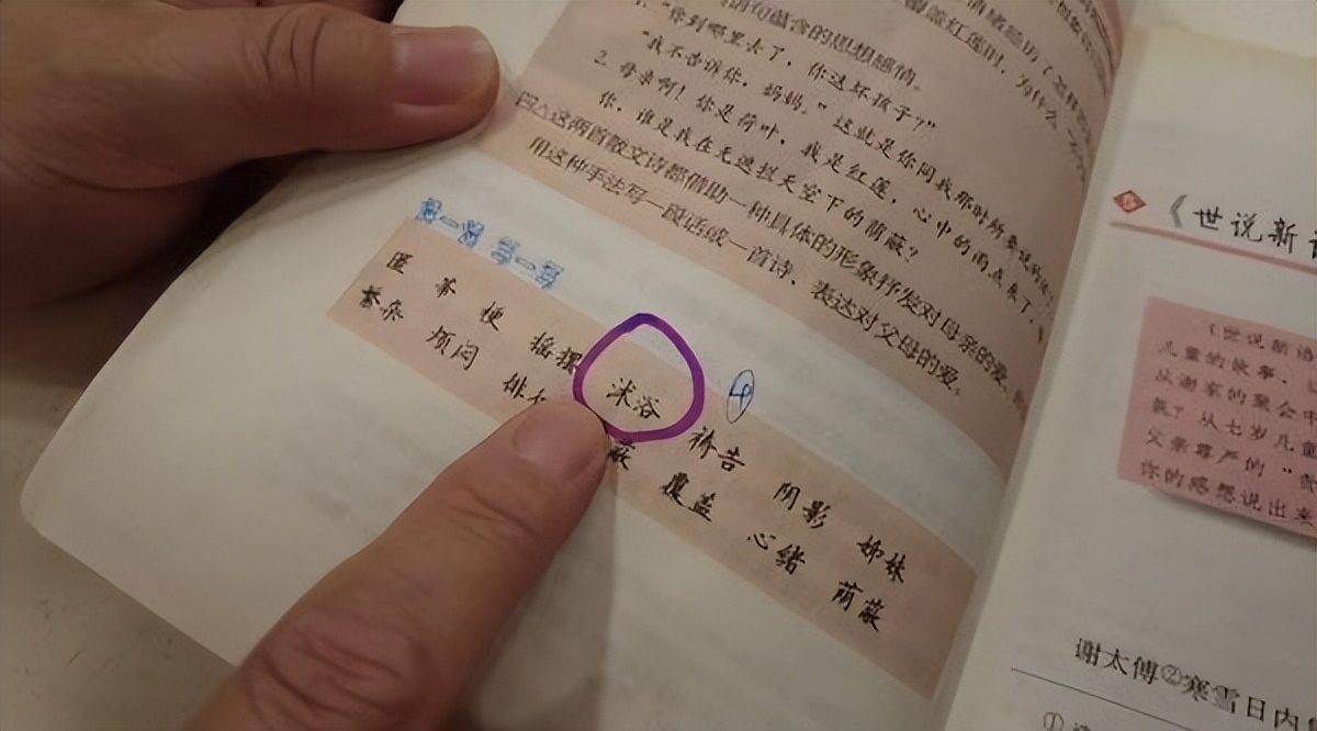 郑州老师为教材“纠错”16年，自费打官司无一胜诉，但依旧坚持丨顶端100℃