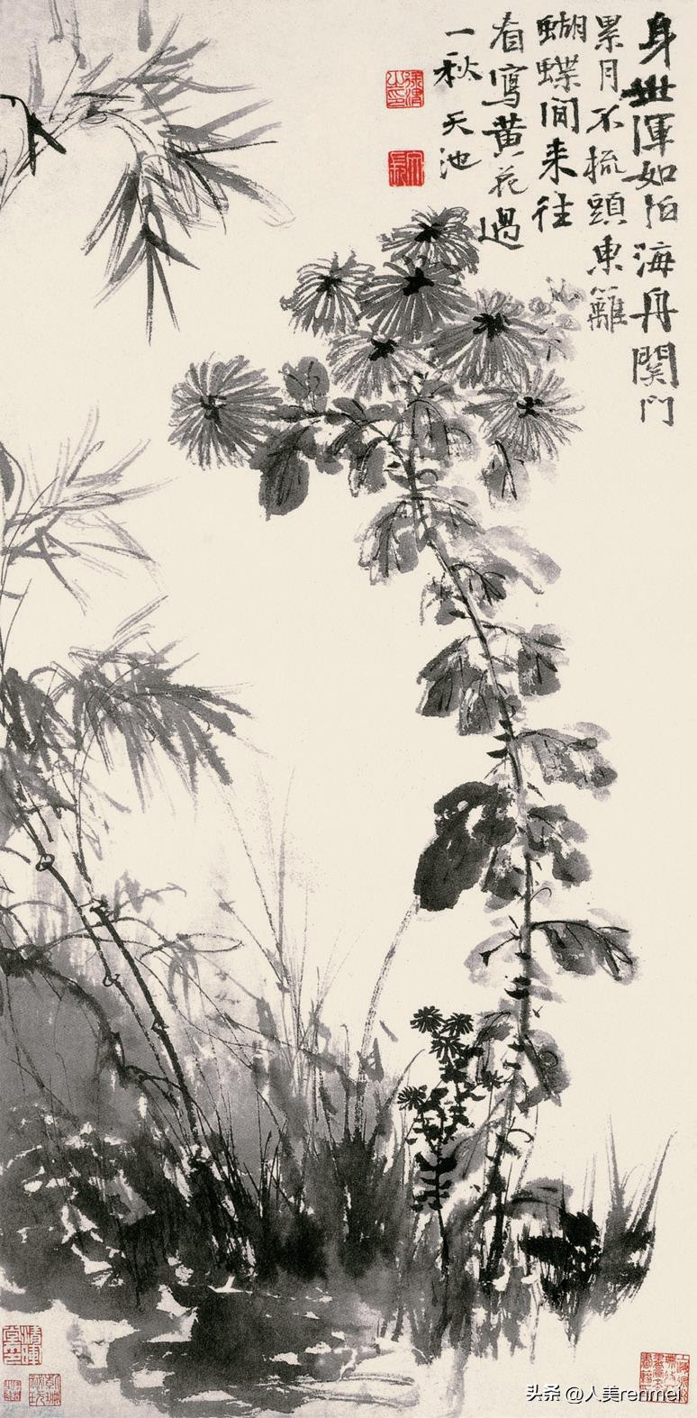 每周一堂美育课|《花中君子——菊》