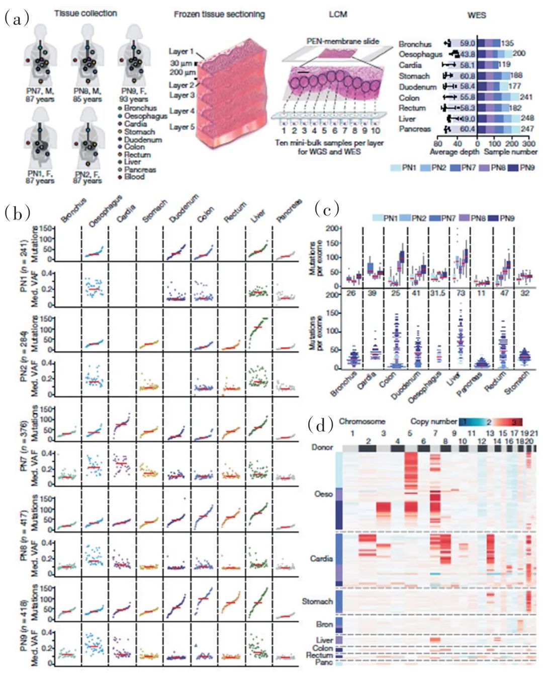 2022年中国科技重大成果,2020年国家重大科技成果