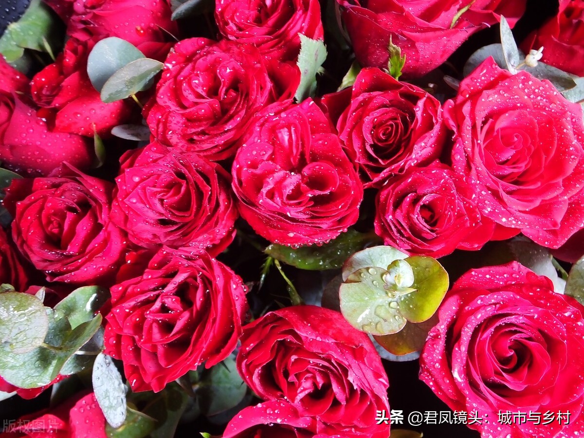 湖北宜昌：情人节，商家为顾客定制的鲜花温馨浪漫，含情脉脉