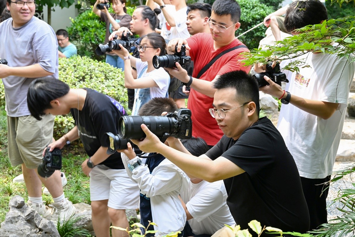 尼康外拍活动创意营重庆,尼康创意营外拍活动