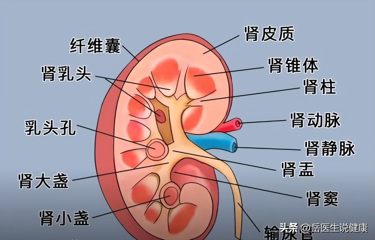 尿路感染用哪种抗生素好得快,尿路感染严重时是不是常用抗生素