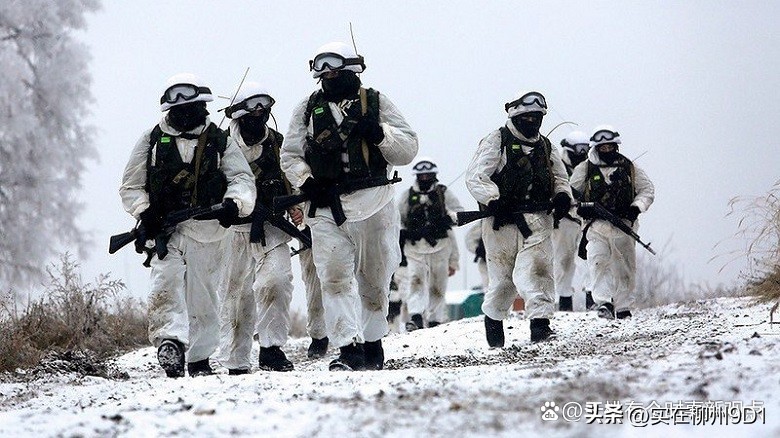 俄乌参战力量和装备数量比例,俄乌双方军队对比